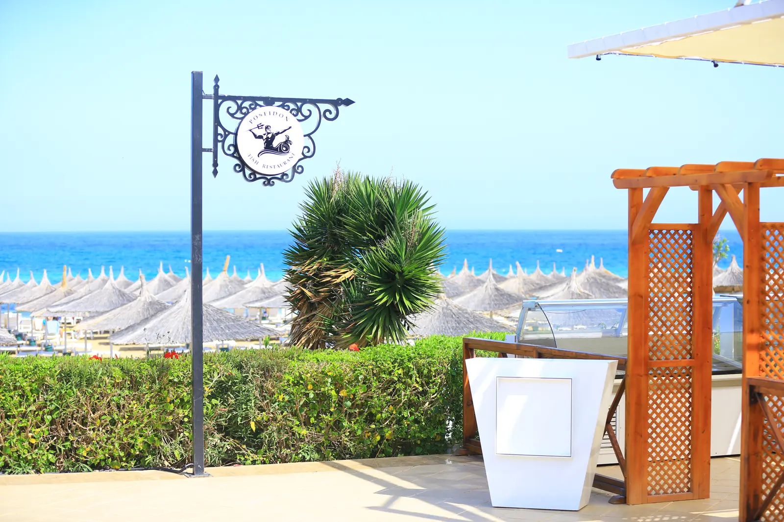 Poseidon Balık A La Carte!