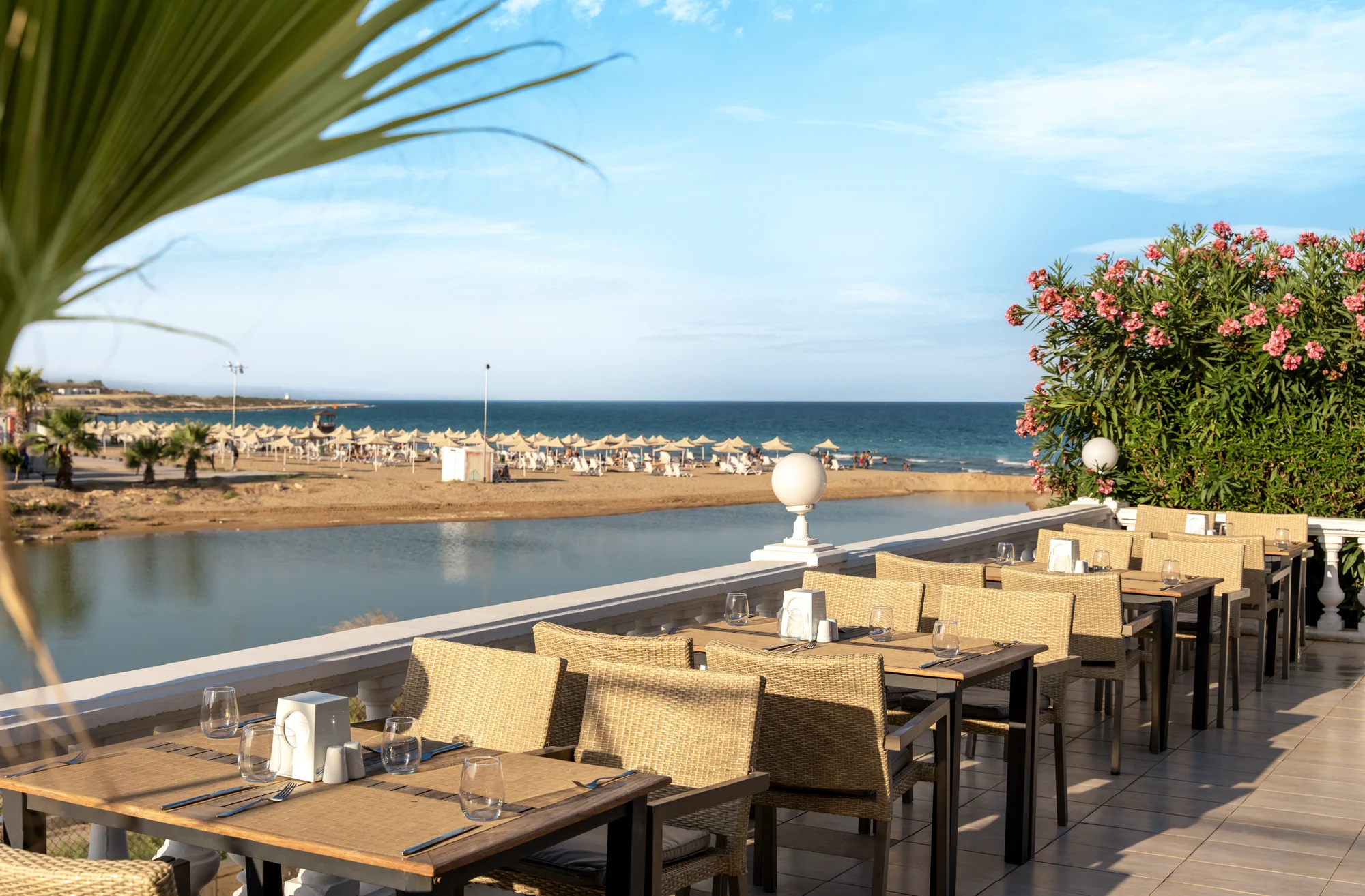 Agora Main Restaurant!