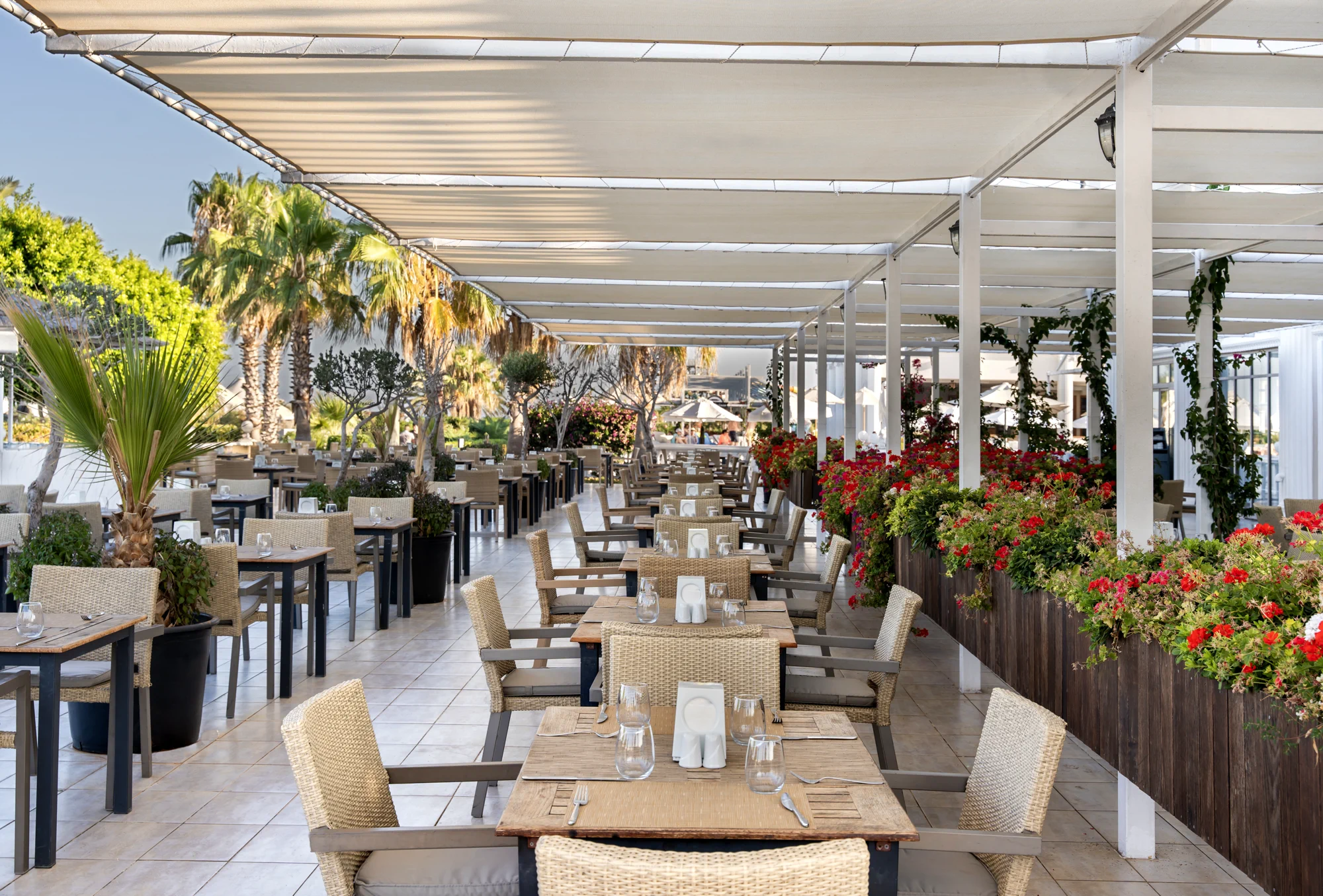 Agora Main Restaurant!