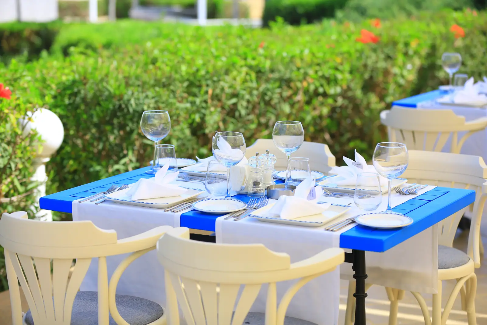 Poseidon Balık A La Carte!