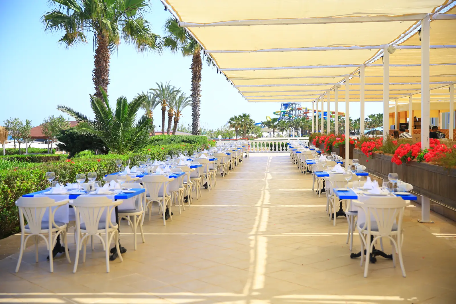 Poseidon Balık A La Carte!