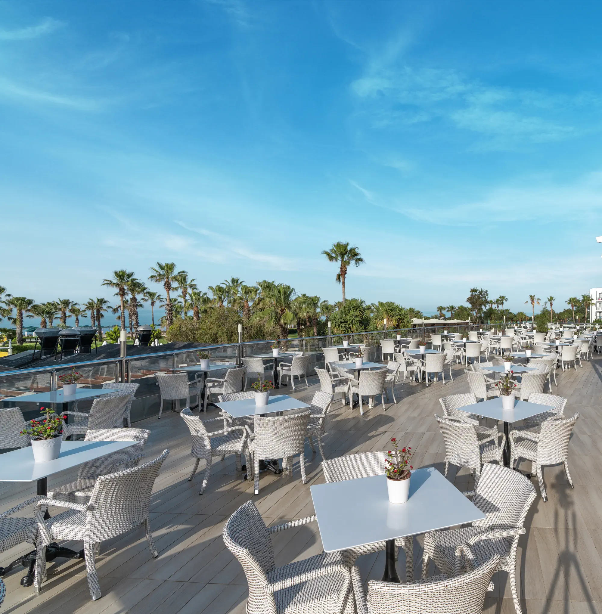 Главный ресторан!