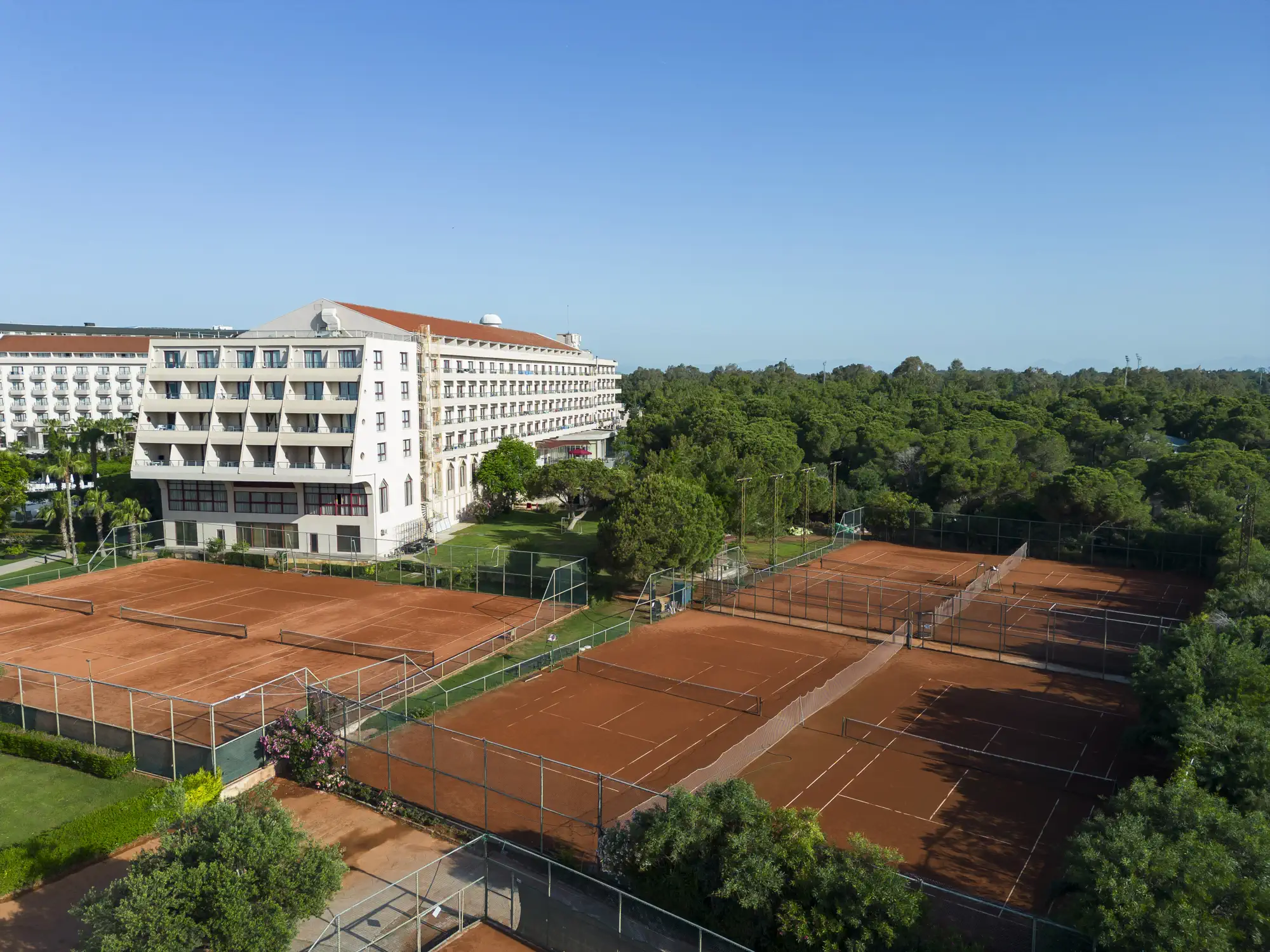 Tenis 1